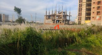 10 Katha South-Facing Ready Plot for Sale– Block M, Bashundhara R/A